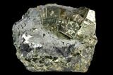 Pyrite Crystals on Galena - Peru #120119-2